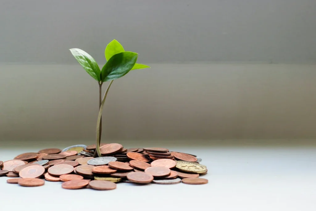 What is angel investing concept image with a small plant growing in coins