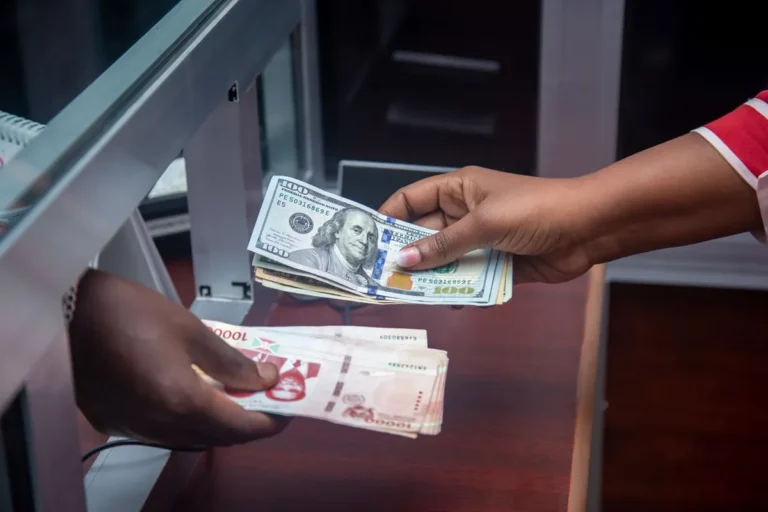 Hands holding different international currencies illustrating how currency exchange rates work