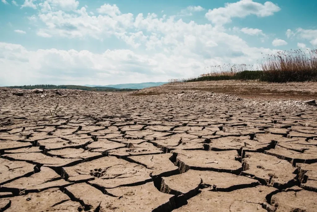 Dry cracked soil from severe drought, illustrating how climate change affects the economy, agriculture, and water supply
