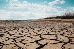 Dry cracked soil from severe drought, illustrating how climate change affects the economy, agriculture, and water supply
