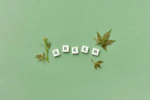 Small plants growing in a row against a light background, symbolizing what is green economy