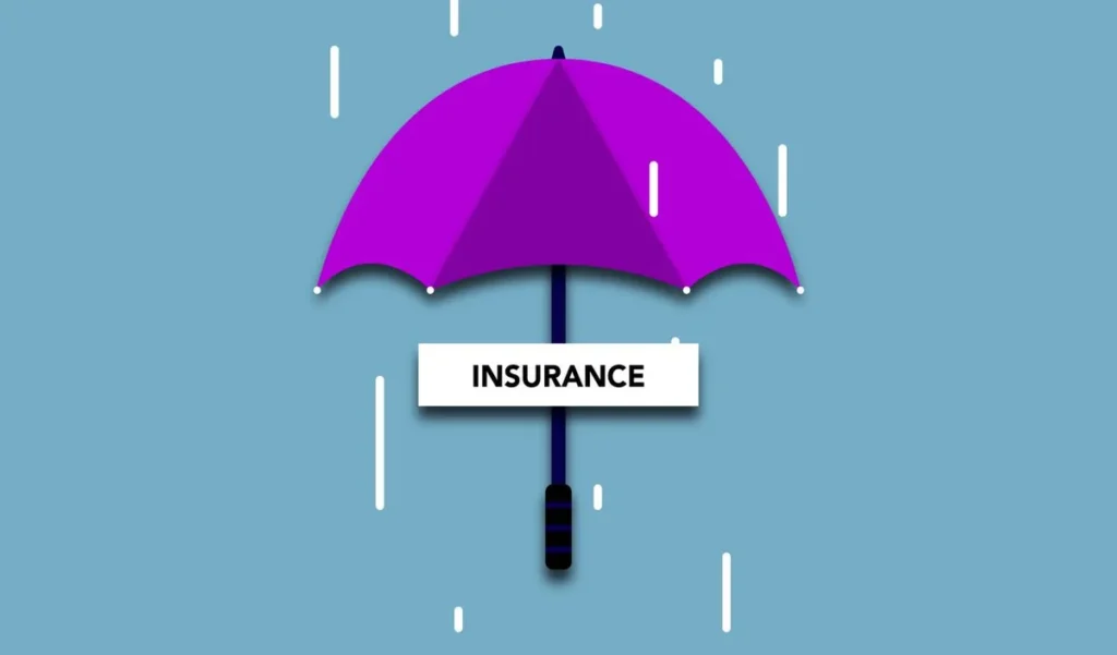 How to Protect Your Assets Through Insurance