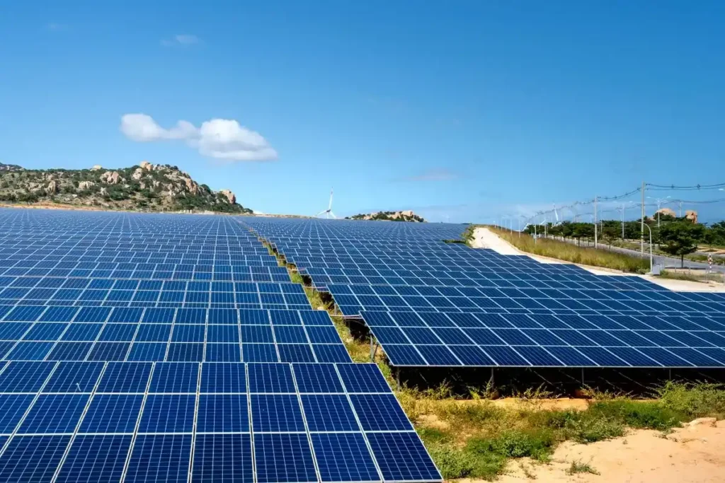 Solar panels installed under blue sky showing how renewable energy changes business
