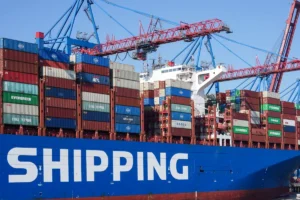 Shipping container cranes loading cargo at a port, illustrating how does international trade work through global logistics.